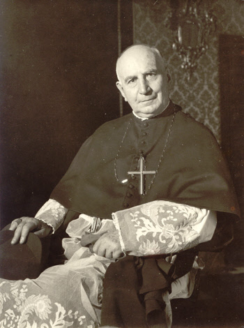 Cardinal Angel Herera Oria