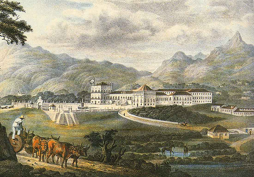Detalhe de Litografia aquarelada de PLANITZ, Karl Robert, Baro de ... 1835-1840
