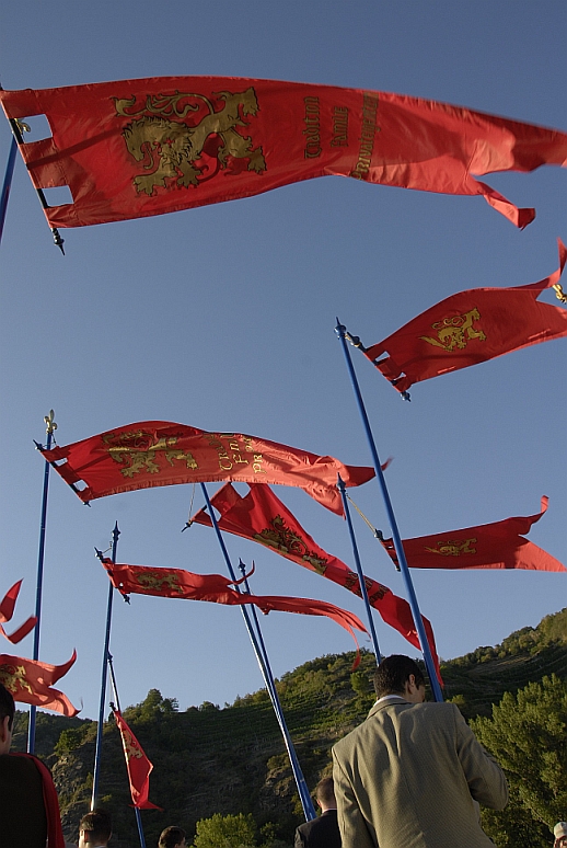 Saint Louis IX Was Both a Man of Peace and a Warrior - American TFP